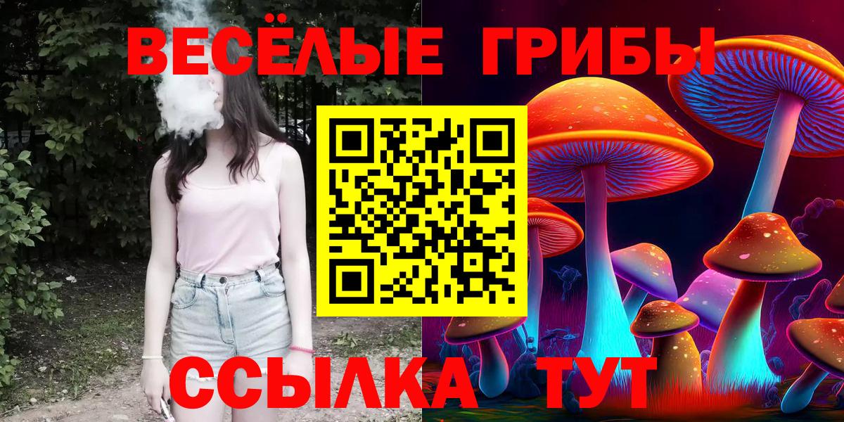 Псилоцибиновые грибы мицелий  Вход с VPN  Изобильный 